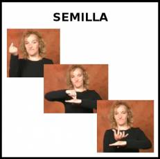 SEMILLA - Signo