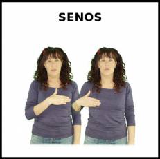 SENOS - Signo