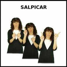 SALPICAR - Signo