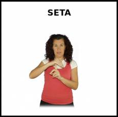 SETA - Signo