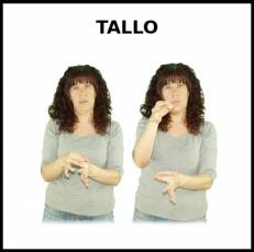 TALLO - Signo