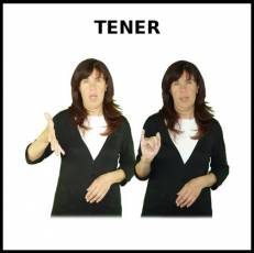 TENER - Signo