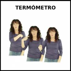 TERMÓMETRO (MERCURIO) - Signo