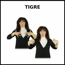 TIGRE - Signo