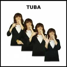 TUBA - Signo