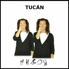 TUCÁN - Signo