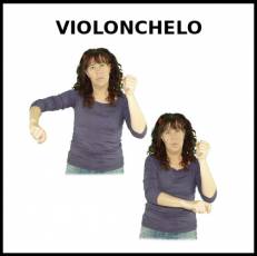 VIOLONCHELO - Signo