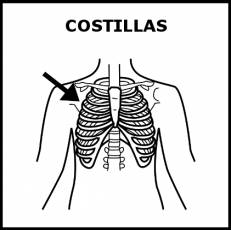 COSTILLAS - Pictograma (blanco y negro)
