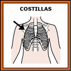 COSTILLAS - Pictograma (color)