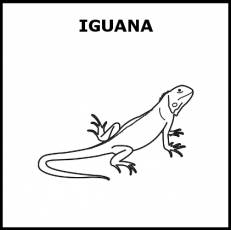 IGUANA - Pictograma (blanco y negro)