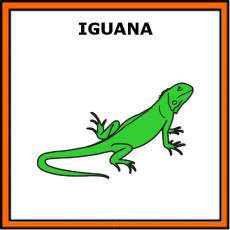 IGUANA - Pictograma (color)
