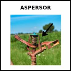 ASPERSOR - Foto
