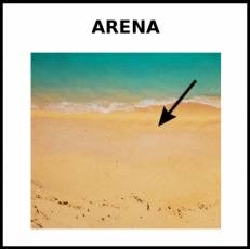 ARENA - Foto