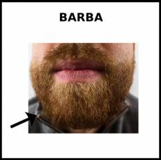 BARBA - Foto