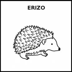 ERIZO - Pictograma (blanco y negro)