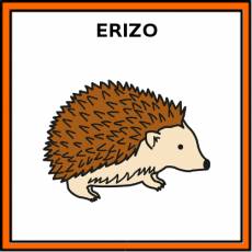 ERIZO - Pictograma (color)