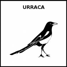 URRACA - Pictograma (blanco y negro)