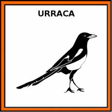 URRACA - Pictograma (color)