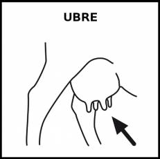 UBRE - Pictograma (blanco y negro)