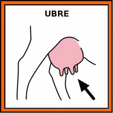 UBRE - Pictograma (color)