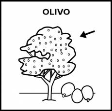 OLIVO - Pictograma (blanco y negro)