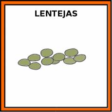 LENTEJAS (LEGUMBRES) - Pictograma (color)