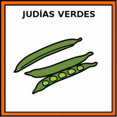 JUDÍAS VERDES - Pictograma (color)