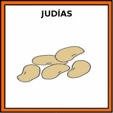 JUDÍAS (LEGUMBRES) - Pictograma (color)