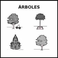 ÁRBOLES - Pictograma (blanco y negro)