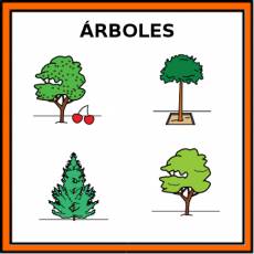 ÁRBOLES - Pictograma (color)