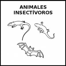 ANIMALES INSECTÍVOROS - Pictograma (blanco y negro)