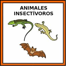 ANIMALES INSECTÍVOROS - Pictograma (color)