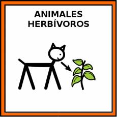 ANIMALES HERBÍVOROS - Pictograma (color)