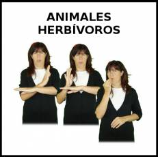 ANIMALES HERBÍVOROS - Signo