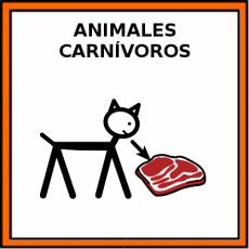ANIMALES CARNÍVOROS - Pictograma (color)
