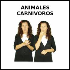 ANIMALES CARNÍVOROS - Signo