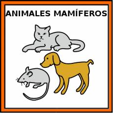 ANIMALES MAMÍFEROS - Pictograma (color)