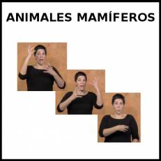 ANIMALES MAMÍFEROS - Signo