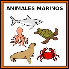 ANIMALES MARINOS - Pictograma (color)
