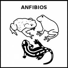 ANFIBIOS - Pictograma (blanco y negro)