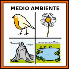 MEDIO AMBIENTE - Pictograma (color)