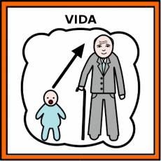 VIDA - Pictograma (color)