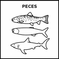 PECES - Pictograma (blanco y negro)