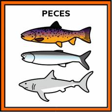 PECES - Pictograma (color)