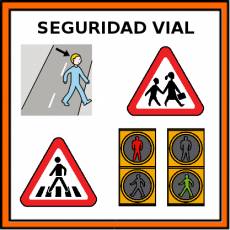 SEGURIDAD VIAL - Pictograma (color)