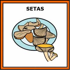 SETAS (ALIMENTO) - Pictograma (color)