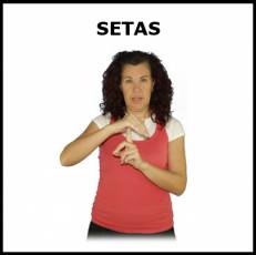 SETAS (ALIMENTO) - Signo
