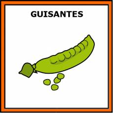 GUISANTES - Pictograma (color)