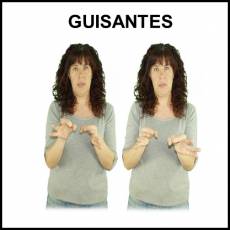 GUISANTES (GUISO) - Signo