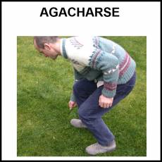 AGACHARSE - Foto